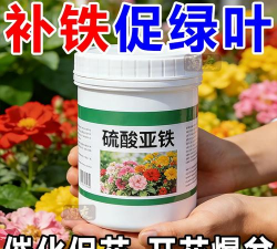 家庭养花用生根粉
