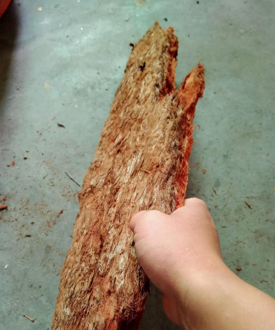 桉树皮可以养花吗