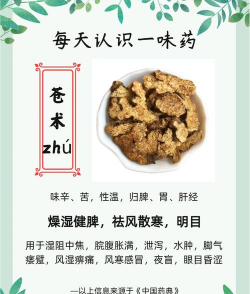 苍术有什么攻效