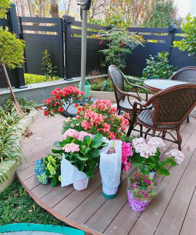 别墅园林绿化设计，打造私密空间，提升居住品质