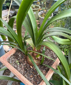 绿化景观设计，提升环境品质，创造宜人空间