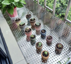 葡萄栽培，掌握关键技术，实现优质丰产