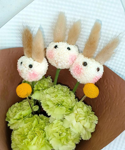 葡萄栽培，掌握关键技术，实现优质丰产