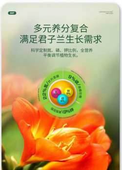 家庭养花用生根粉