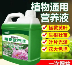 家庭养花用生根粉