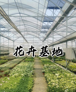 庄河养花基地地址