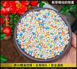 家庭养花用生根粉