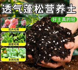 家庭养花用生根粉