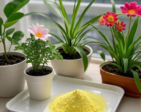 家庭养花用生根粉