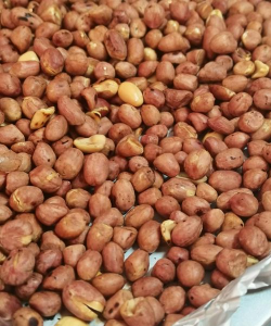 烘烤花生壳养花