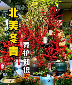 北美花园养花好吗冬季