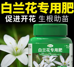 别墅园林绿化设计，打造私密空间，提升居住品质