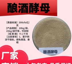 兰草花怎么养，掌握关键技巧，轻松培育美丽花朵