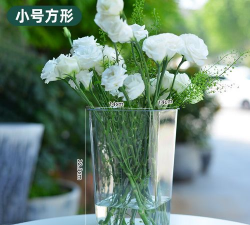 绿化景观设计，提升环境品质，创造宜人空间