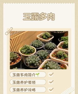 绿化景观设计，提升环境品质，创造宜人空间