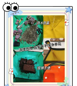 海棠花的栽培，选对品种很关键，掌握技巧不费力