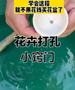 海棠花的栽培，选对品种很关键，掌握技巧不费力