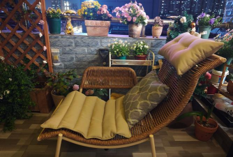 芍药花怎么养，掌握关键要点，花开更鲜艳