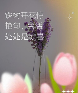 芍药花怎么养，掌握关键要点，花开更鲜艳