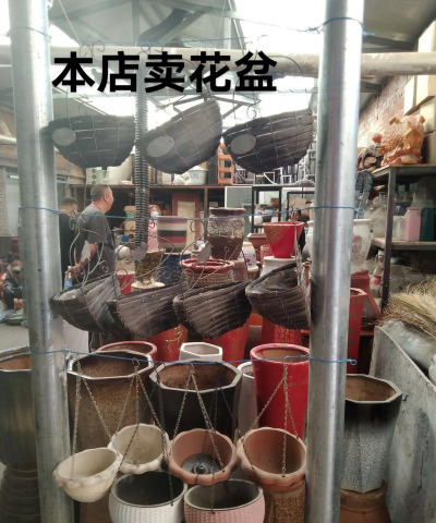 芍药花怎么养，掌握关键要点，花开更鲜艳