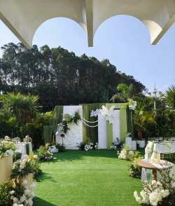 芍药花怎么养，掌握关键要点，花开更鲜艳