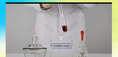 柿树虫病防治，识别常见虫害，掌握有效方法