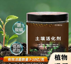 柿树虫病防治，识别常见虫害，掌握有效方法