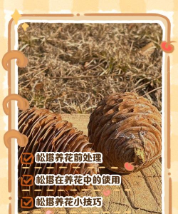 柿树虫病防治，识别常见虫害，掌握有效方法