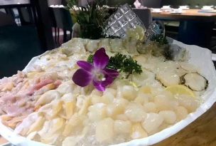 柿树虫病防治，识别常见虫害，掌握有效方法