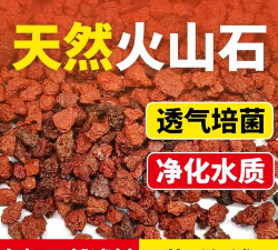 无土栽培技术，突破土壤限制，开启高效种植新篇章