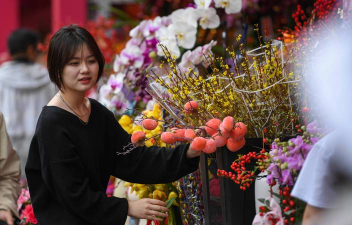 兰草花怎么养，掌握关键技巧，轻松培育美丽花朵