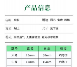 芍药花怎么养，掌握关键要点，花开更鲜艳