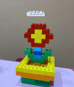 芍药花怎么养，掌握关键要点，花开更鲜艳