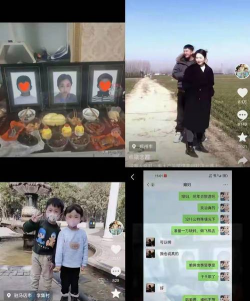 芍药花怎么养，掌握关键要点，花开更鲜艳