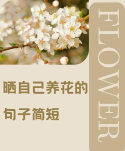 芍药花怎么养，掌握关键要点，花开更鲜艳