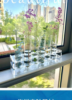 葡萄栽培，掌握关键技术，实现优质丰产