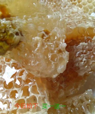 柿树虫病防治，识别常见虫害，掌握有效方法