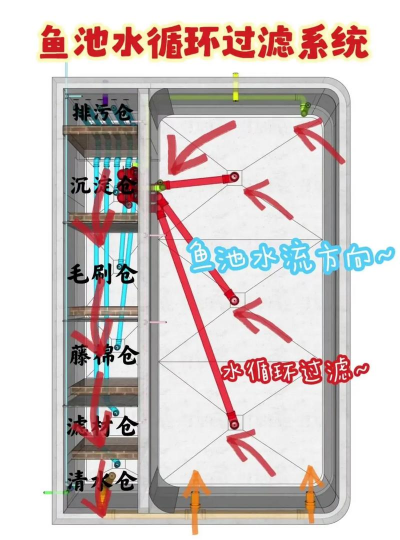 玫瑰花怎么养才不会枯萎，掌握浇水施肥技巧，轻松延长花期