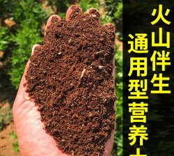 火山灰养花行吗