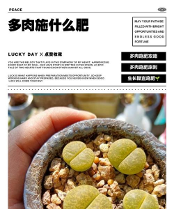 家庭养花用生根粉