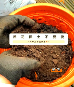 养花土少了会怎样 养花土少了会怎样