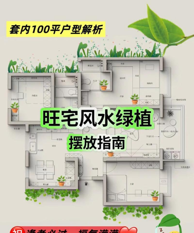 宅子青龙位能养花吗