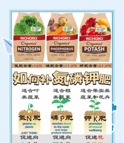 家庭养花用生根粉