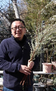 家庭养花用生根粉