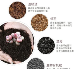 家庭养花用生根粉