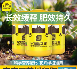 家庭养花用生根粉