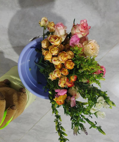 家庭养花用生根粉