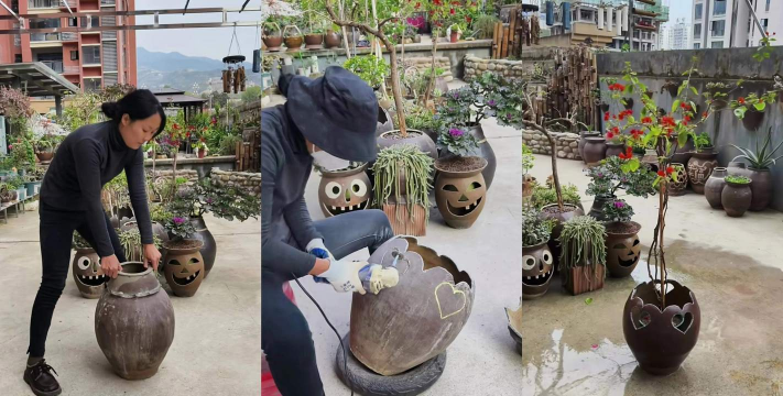 家庭养花用生根粉