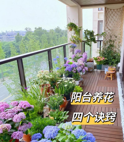 葡萄栽培，掌握关键技术，实现优质丰产