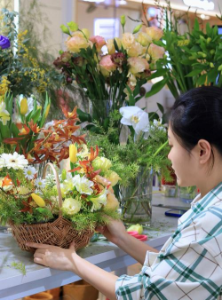 葡萄栽培，掌握关键技术，实现优质丰产